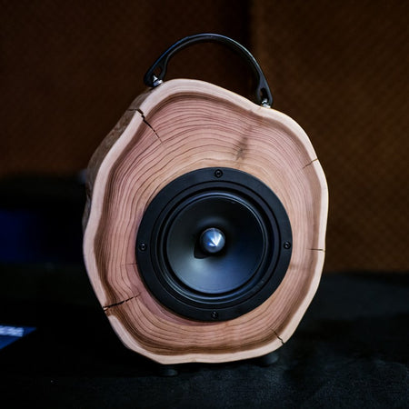 Wood speaker product photo